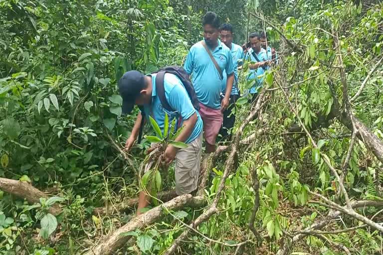 Poba Reserve Forest