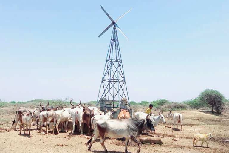 હવે પશુ-પક્ષીઓએ પાણી માટે નહીં મારવા પડે વલખાં, કચ્છના યુવાને કાઢ્યો નવો ઉપાય