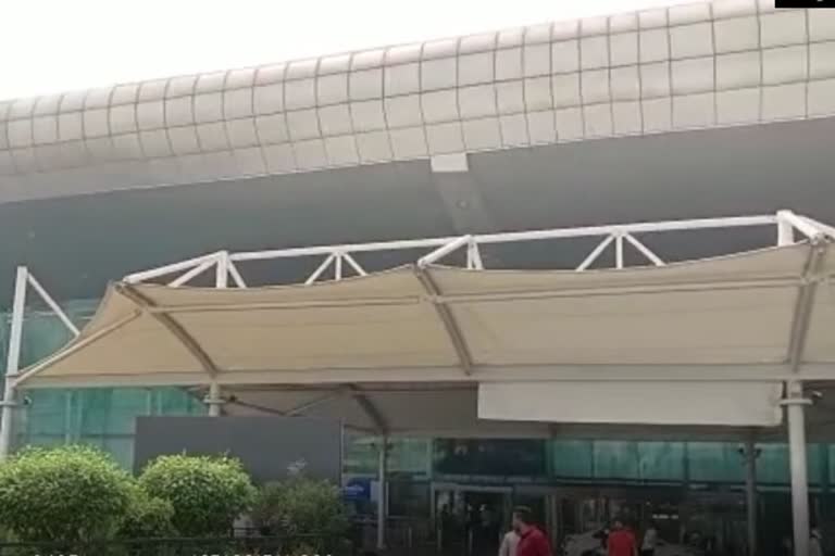 amritsar international airport passengers troubled by pigeon and mosquitoes