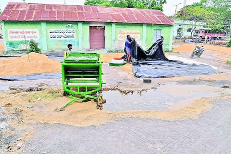 Farmers losing grain to rains