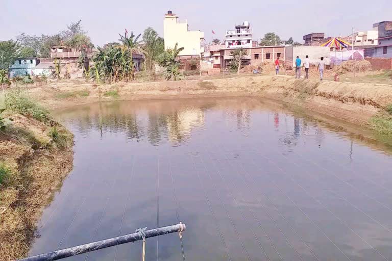 village of ponds mahadevpur in patna bihar