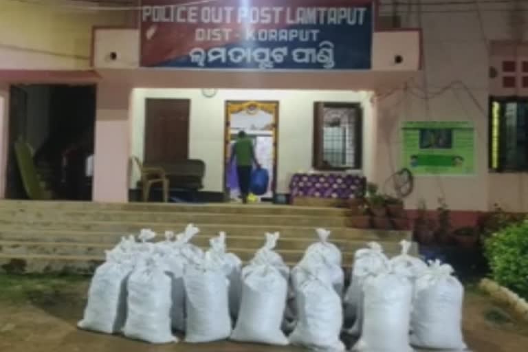 Ganja Seized; କୋରାପୁଟରୁ ୮୦ ଲକ୍ଷର ଗଞ୍ଜେଇ ଜବତ