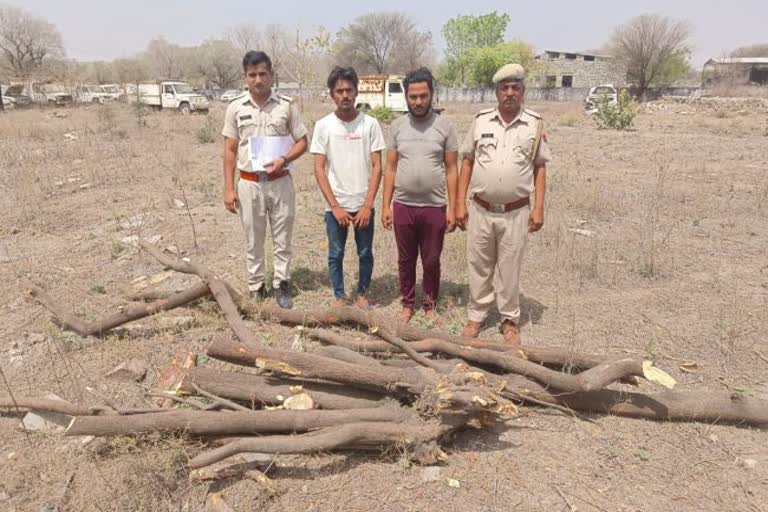 Police arrested two accused cutting sandalwood tree