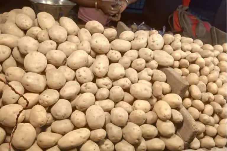 gwalior potato aeroponic technology