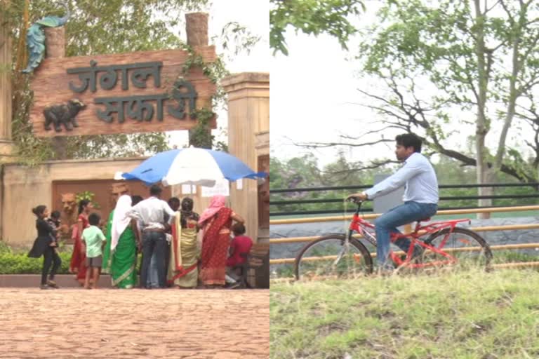 Tourists enjoying cycle ride in Jungle Safari