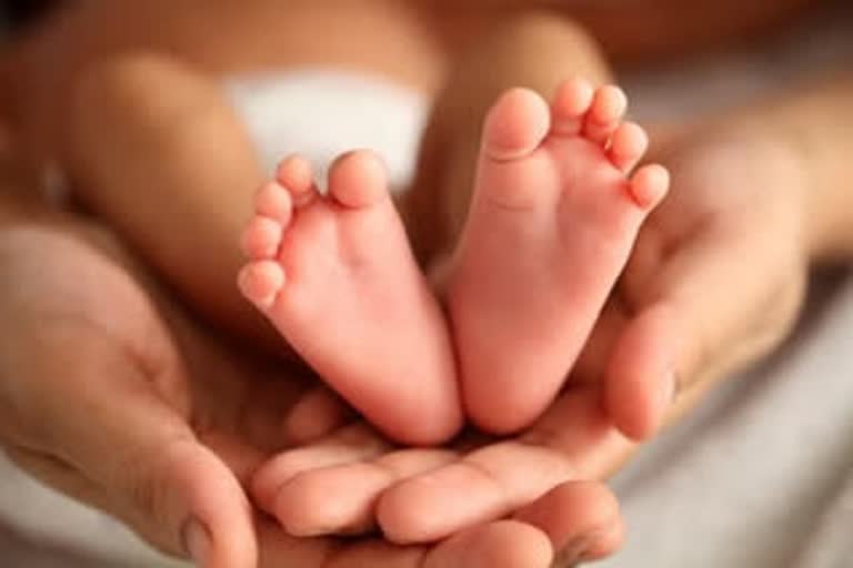 triple male children born in yadgiri