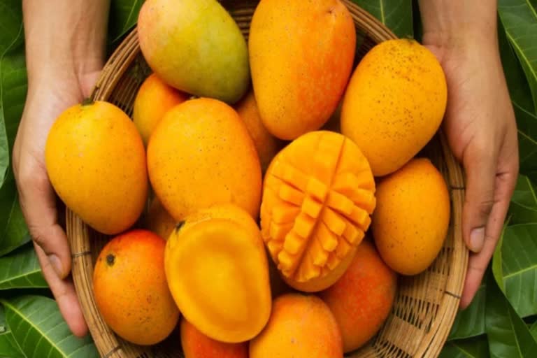 Mangoes stave of heart diseases