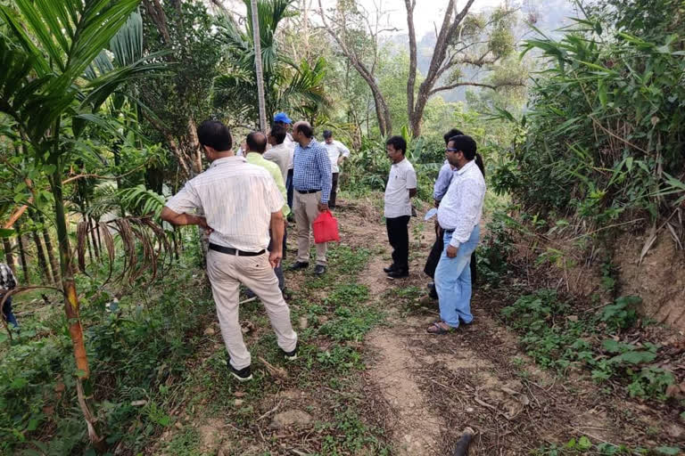 Tripura takes step to revive orange cultivation