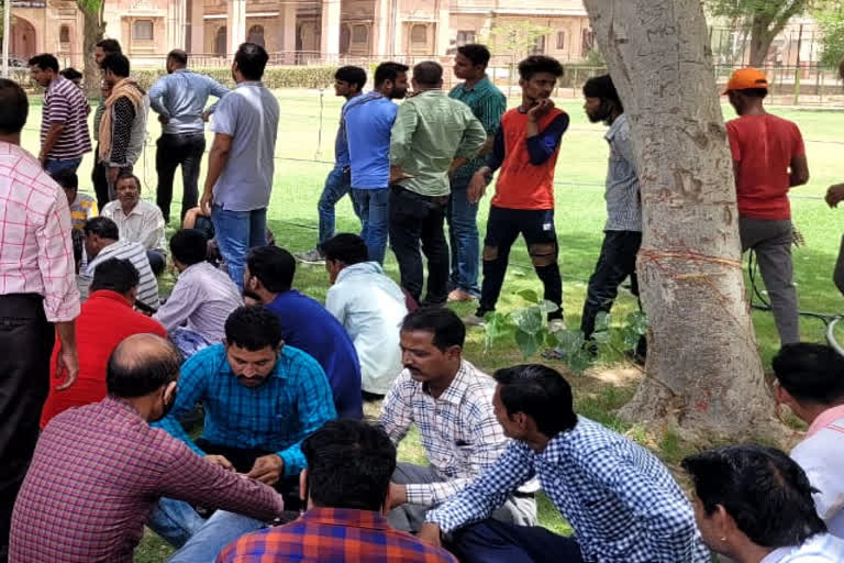 Contractual workers relieved from Bikaner Veterinary Uni