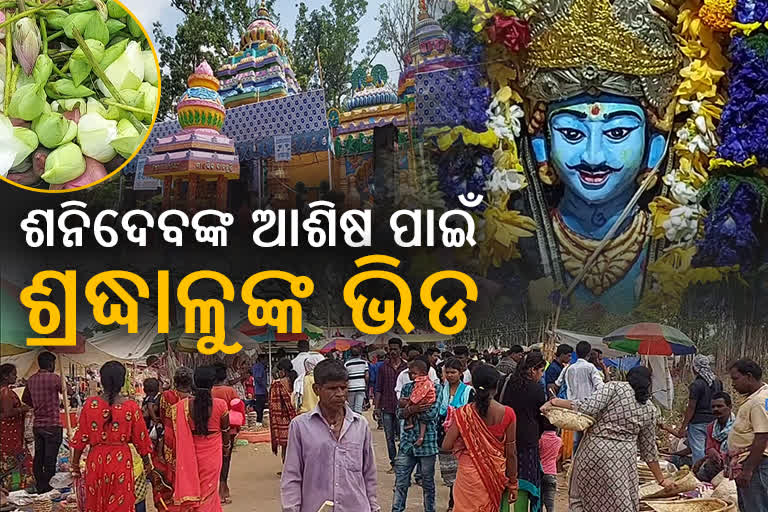 ଧୂମଧାମରେ ପାଳିତ ଶନିଦେବଙ୍କର ପବିତ୍ର ଜନ୍ମୋଉତ୍ସ