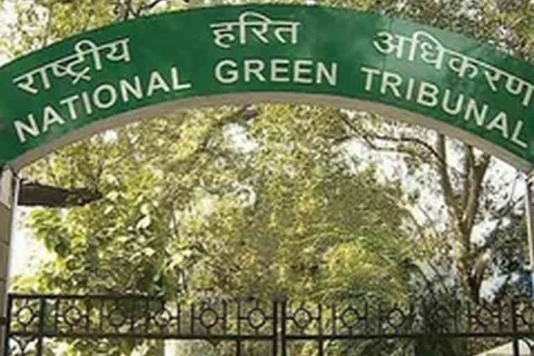 NGT clears decks for inland waterway project on Ganga river from Prayagraj to Haldia