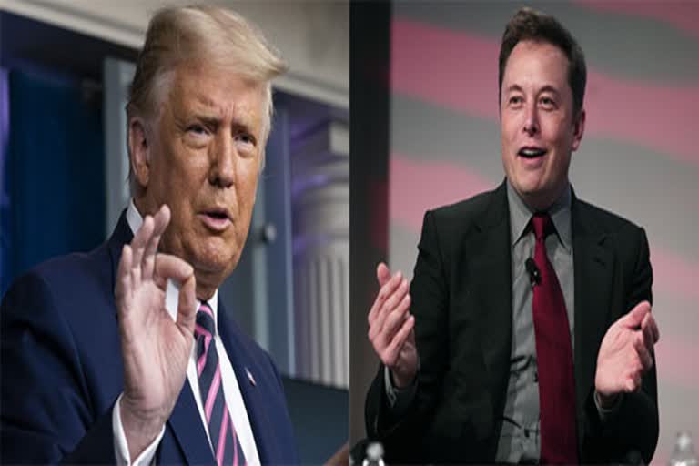 Elon Musk Trump