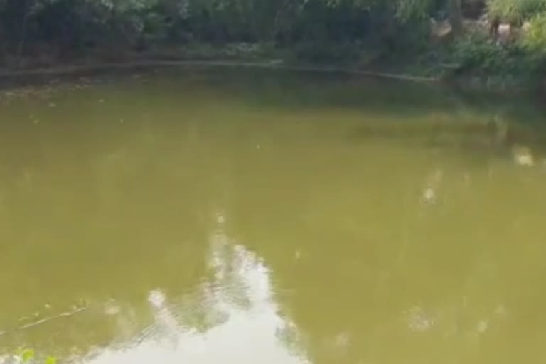 Child Drowned in a Pond