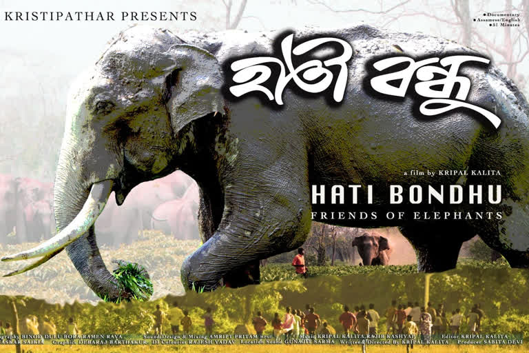 kripal kalita hathi bandhu to mumbai international film festival