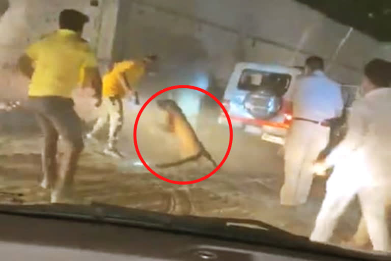 வீடியோ: விரட்டி விரட்டி வனக்காவலர்களை தாக்கிய சிறுத்தை