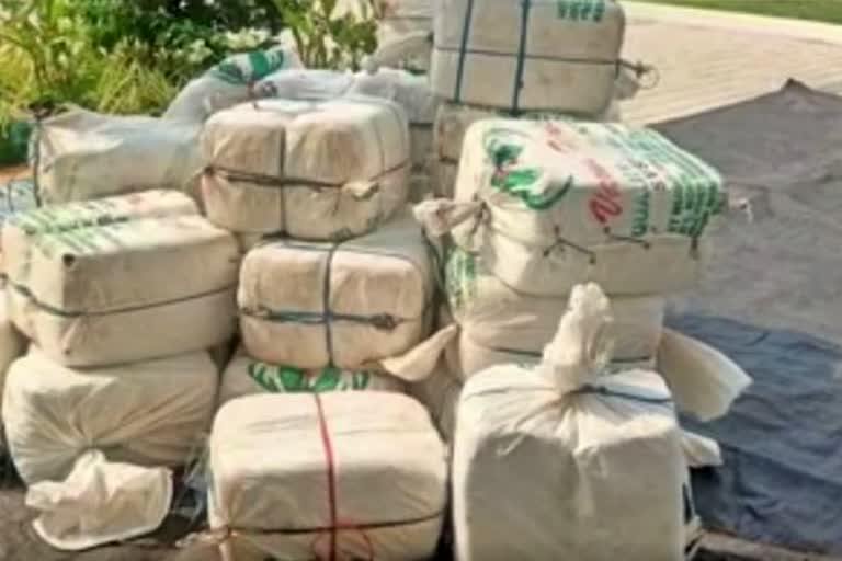 Cannabis Which is Transported in Cottonseed bags