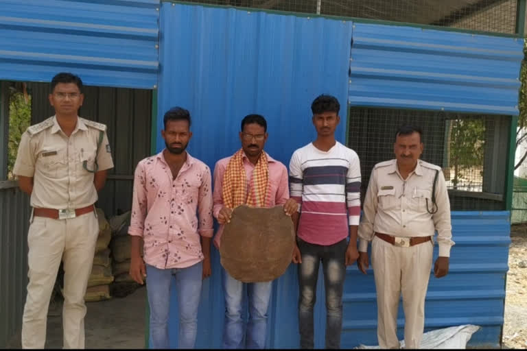 Turtle meat selling 3 accused arrested