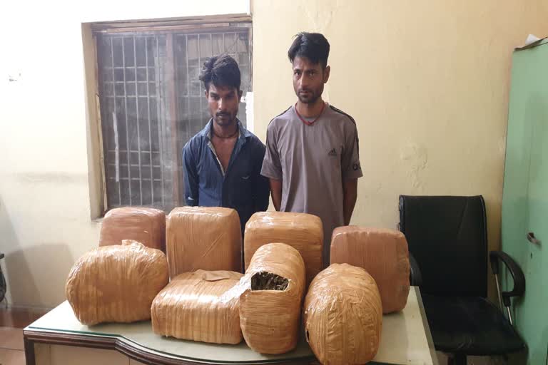 Inter state ganja smuggler arrested in Raipur