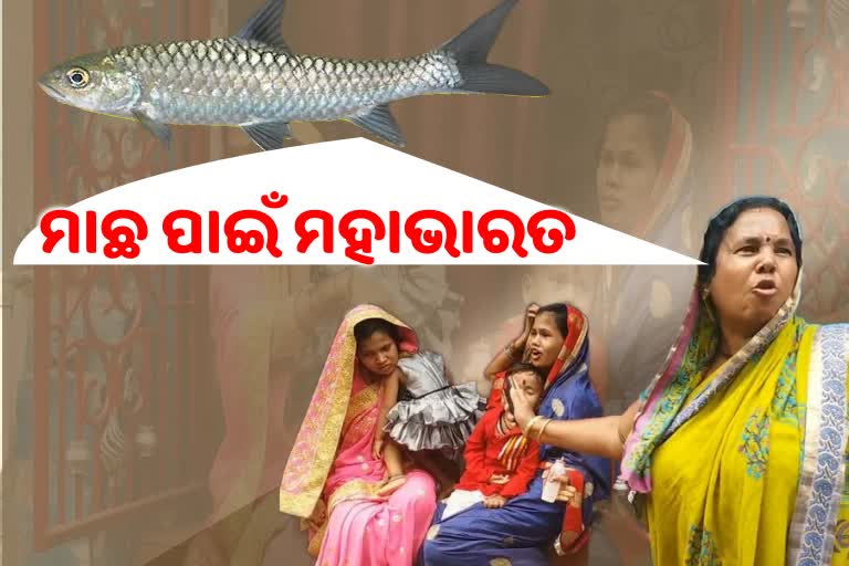 ପୁଣି ବ୍ରହ୍ମପୁରରେ ବୋହୂଙ୍କ ଧାରଣା, ମାଛ ଖାଇଦେବାରୁ ଅସହ୍ୟ ହେଲା ଶାଶୁ ନିର୍ଯାତନା