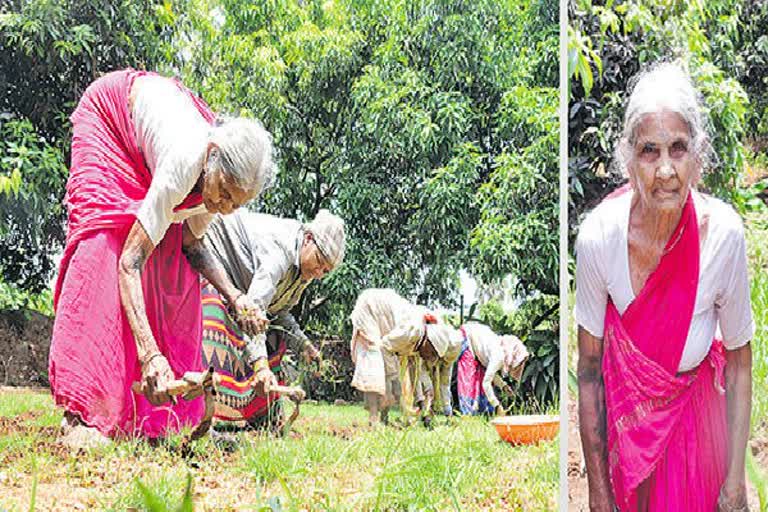 98 Years Old Woman is Farming