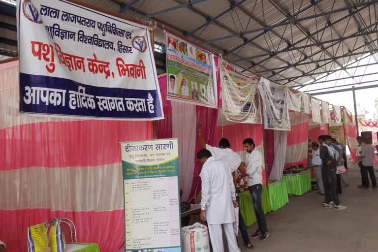 Farmer Awareness Fair organized in Bhiwani