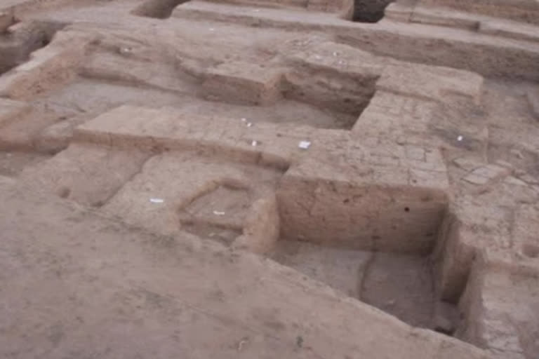 हडप्पा काळातील 50 सांगाडे सापडले! 7 हजार वर्षे जुन्या शहराचे रहस्य