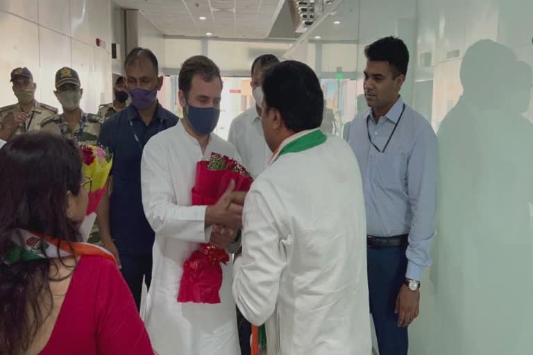 Rahul Gandhi Gujarat Visit: રાહુલ ગાંધી આદિવાસીઓની રક્ષા માટે દાહોદ આવ્યા: રઘુ શર્મા