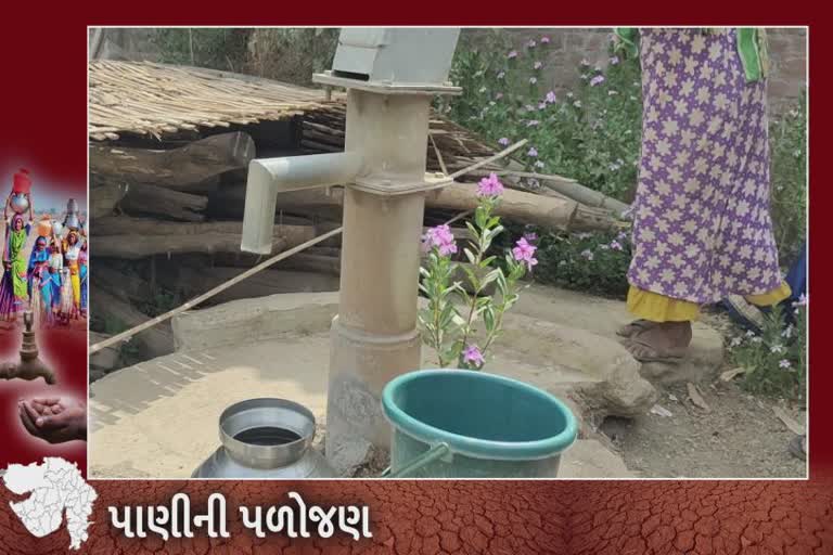 Water Crisis in Gujarat : વ્યારા પાસેના એવા ગામની વાત જ્યાં પાંચ પાંચ વર્ષથી લોકોના પાણી માટે વલખાં
