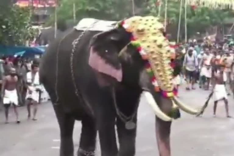 Elephant runs amok during Pooram festival