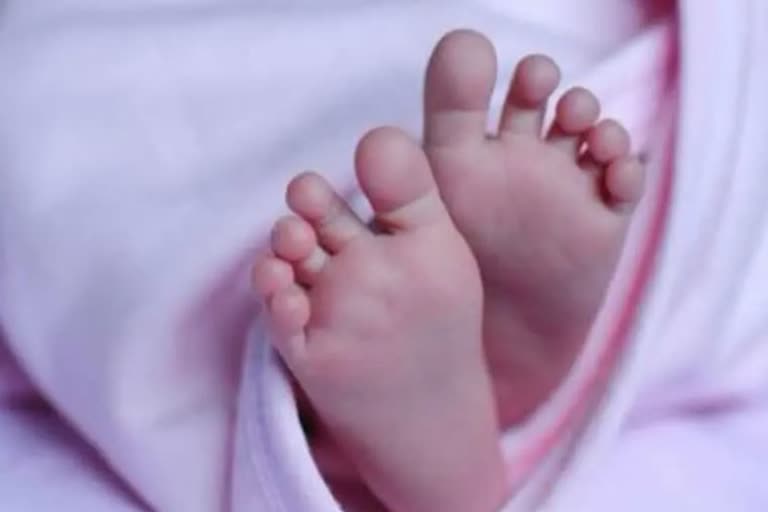 newborn concept image.