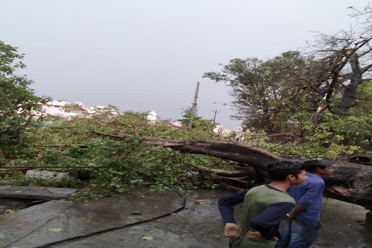 storm in haridwar