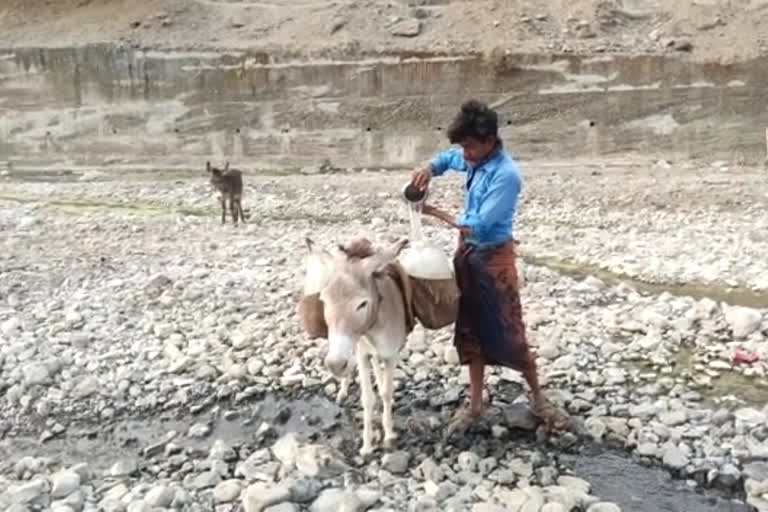 water being carried by mules in barwani