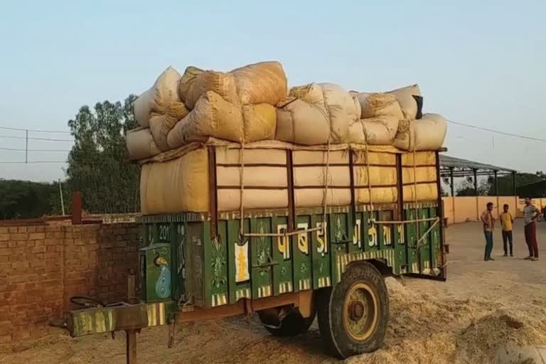 fodder crisis in haryana