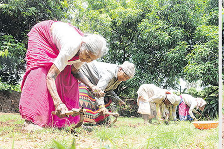 Old Woman Has been Farming At Age of 98 Years