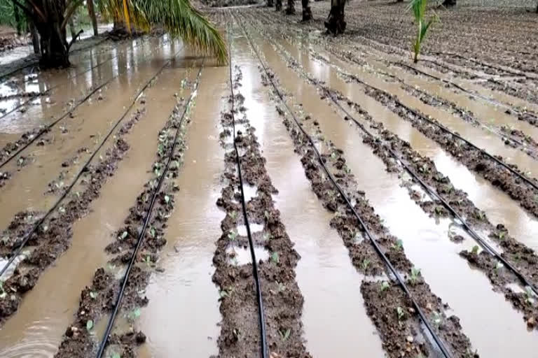 தாளவாடியில் பலத்த மழை: மக்கள் வெளியே செல்ல முடியாமல் வீட்டிலேயே முடக்கம்