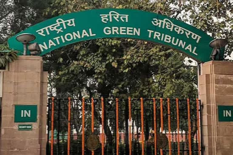 National Green Tribunal stays on Rushikonda excavations