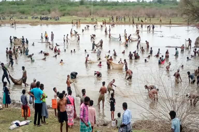 20 வருடங்களுக்கு மீன்பிடி திருவிழா