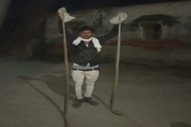 snake in Gopalganj