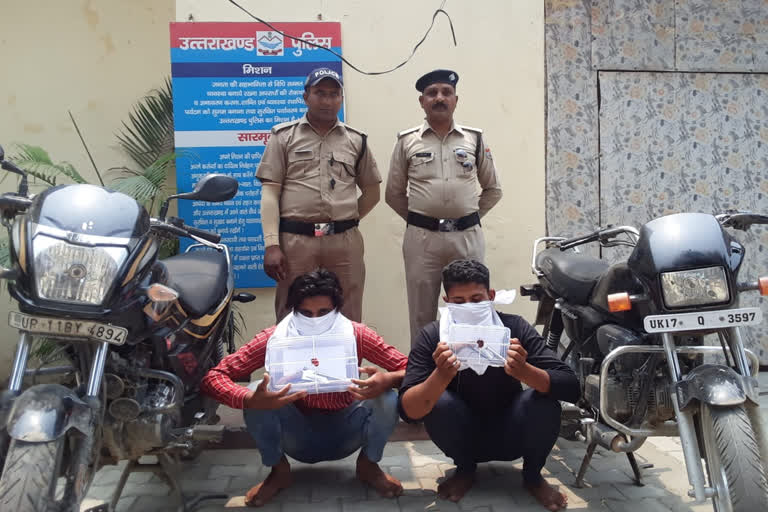 Vikasnagar police arrested two accused