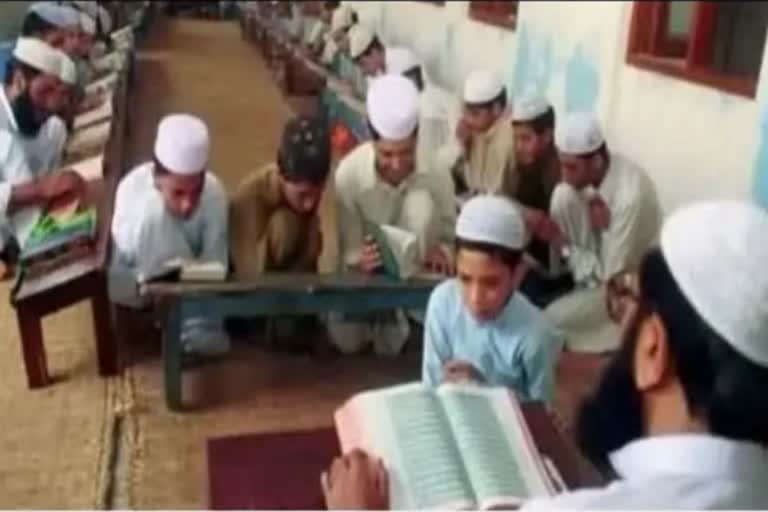 madrassas