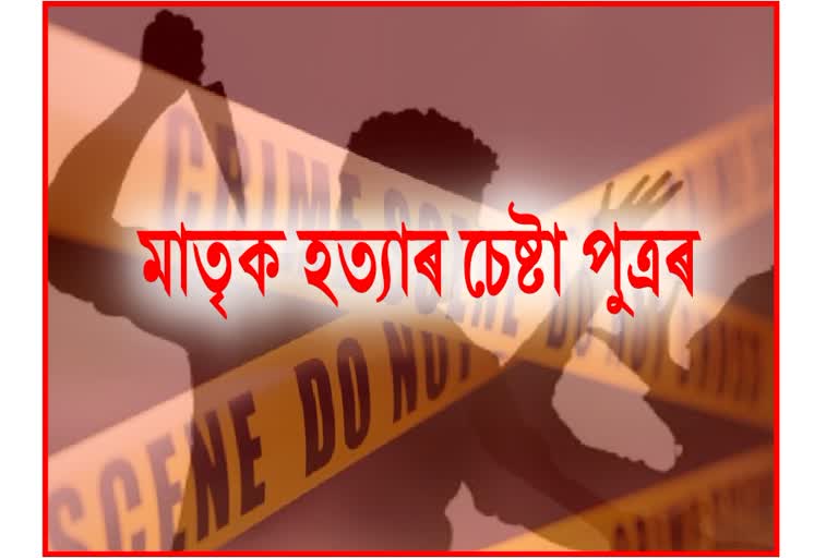 Attempt to murder case in Sivsagar