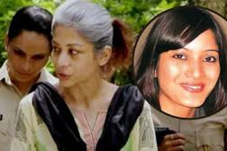 Sheena Bora Murder Case