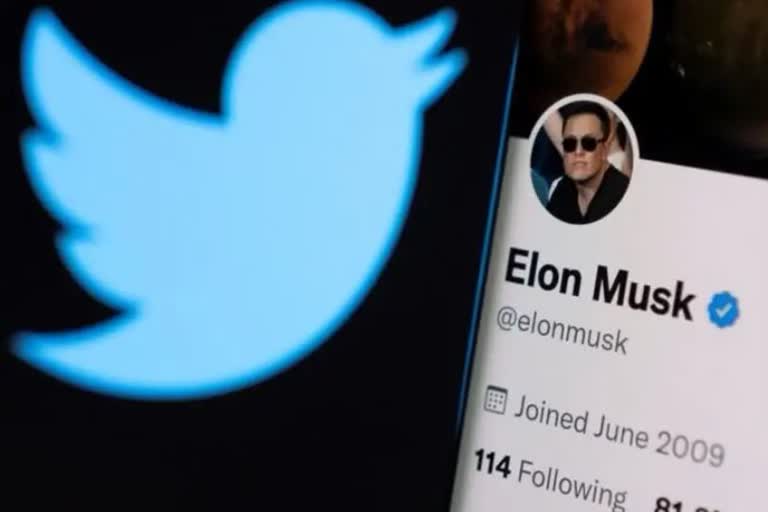 elon musk hold twitter deal