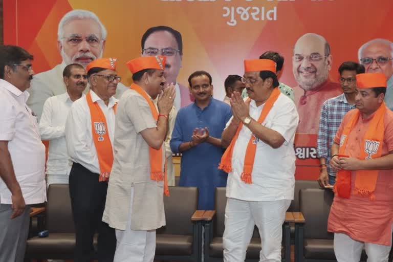 અધ્યાપકો ભાજપમાં જોડાયાં : અધ્યાપકો ભાજપ પાસેથી ભણશે રાજનીતિના પાઠ, જૂઓ કોણ કોણ જોડાયાં