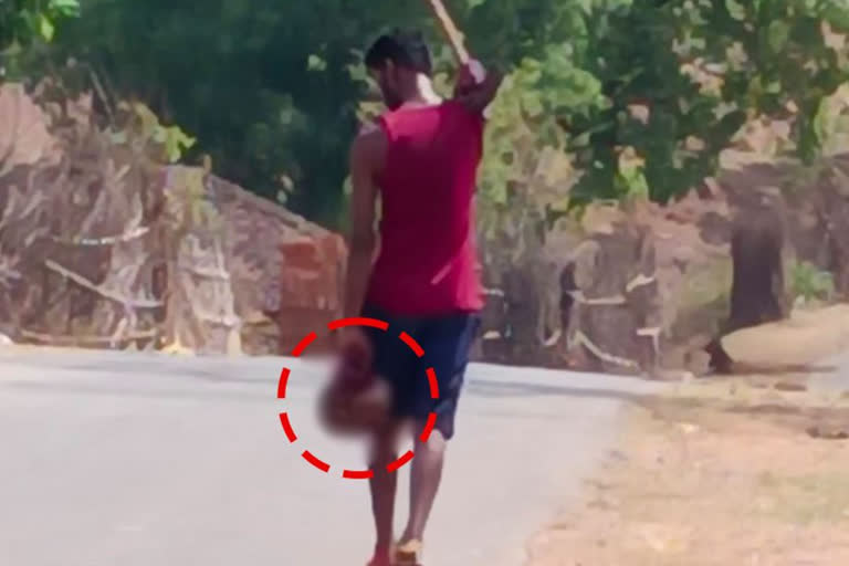 Madhya Pradesh : Man beheaded maternal uncle roams with head in village