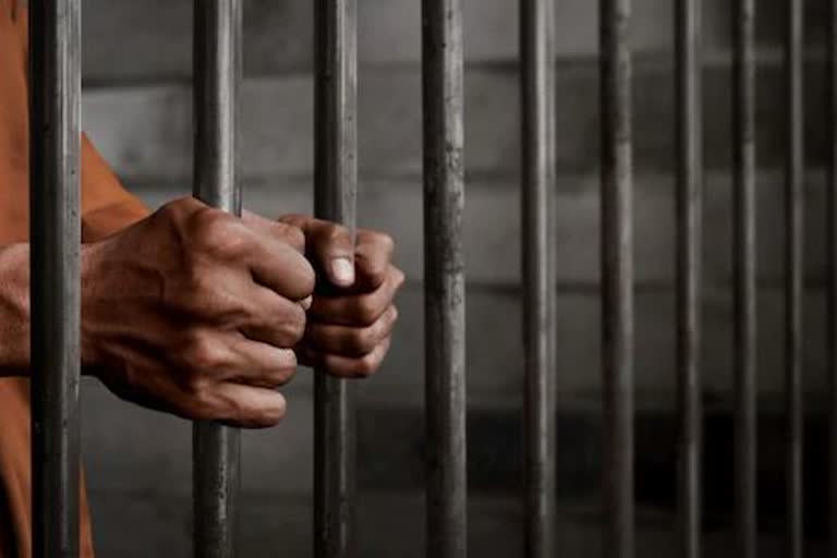 Court sentenced two years imprisonment to accused