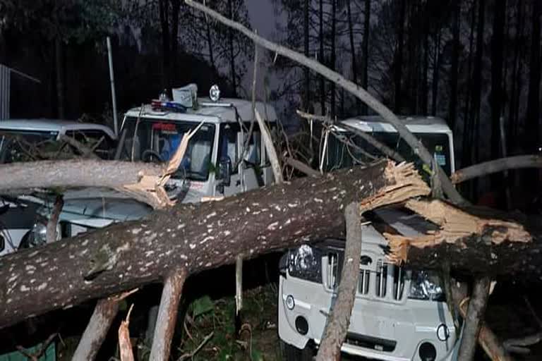 Pauri Natural Disaster News