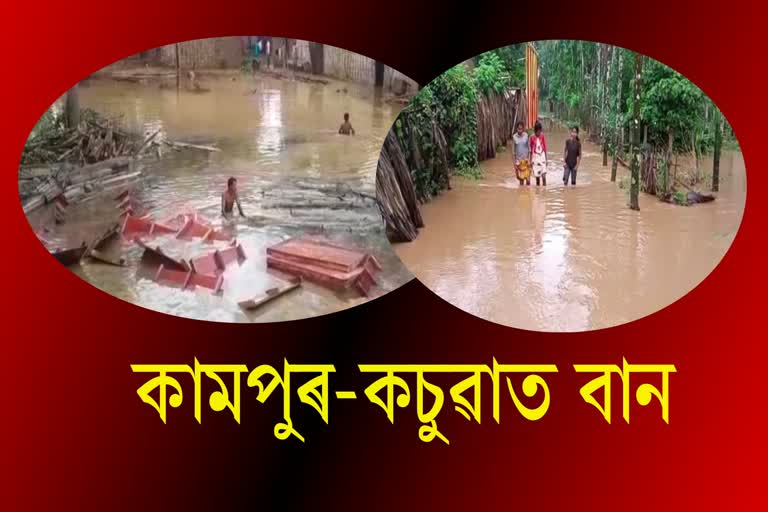 several-villages-in-kampur-and-kachua-effected-by-flood