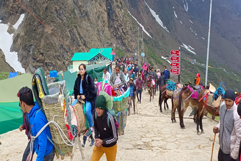 horse mules without registration in Kedarnath