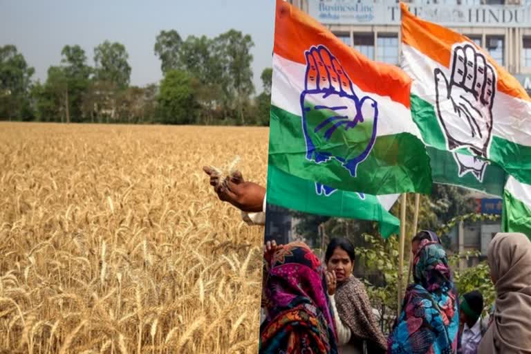 Congress opposes Wheat Export Ban